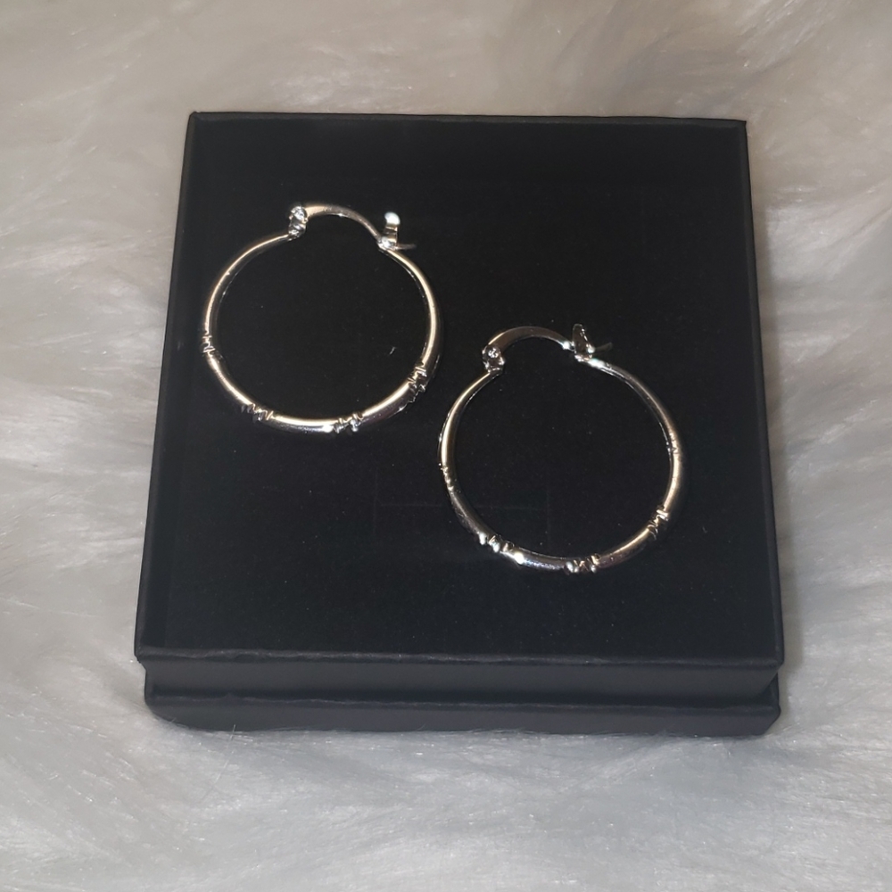 Sterling Silver Hoops